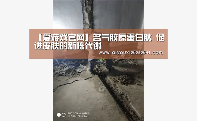 【爱游戏官网】名气胶原蛋白肽 促进皮肤的新陈代谢(图4) 爱游戏电竞
