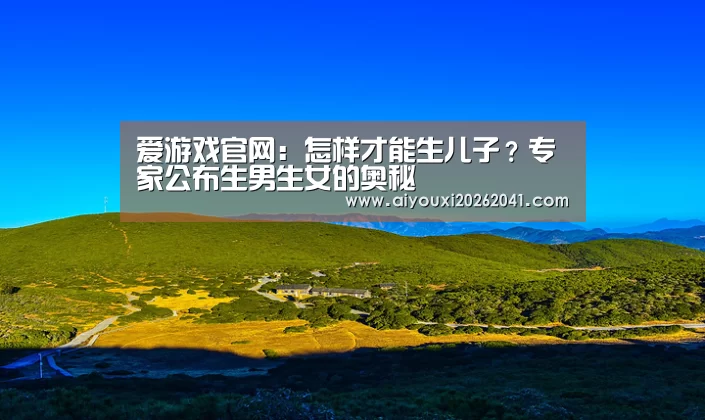 爱游戏电竞