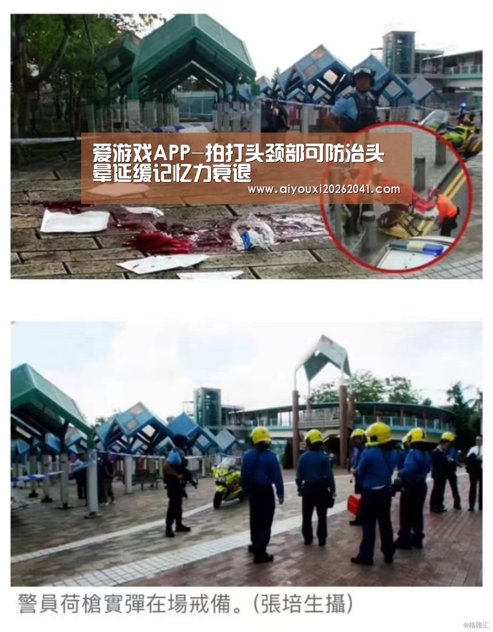 爱游戏百家乐