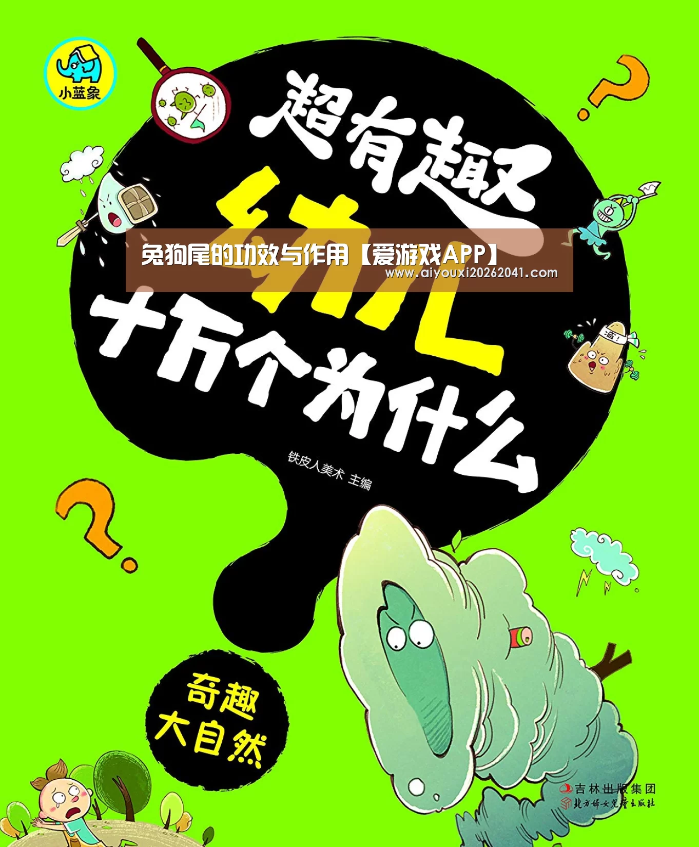 兔狗尾的功效与作用【爱游戏APP】(图2) 爱游戏APP