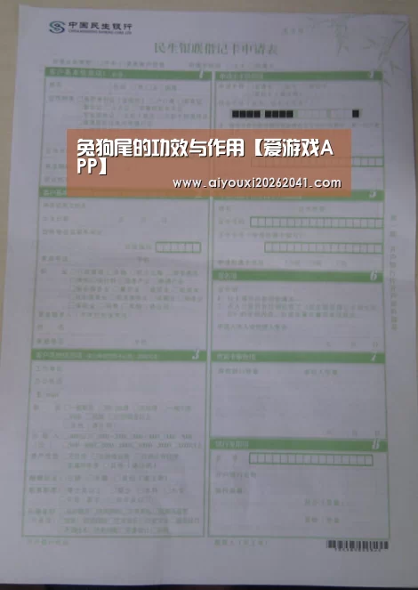 兔狗尾的功效与作用【爱游戏APP】(图1) 爱游戏官网