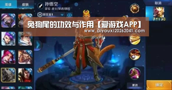 兔狗尾的功效与作用【爱游戏APP】(图3) 爱游戏电竞