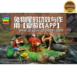 兔狗尾的功效与作用【爱游戏APP】(图4) 爱游戏APP