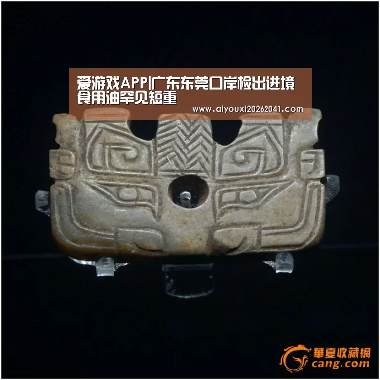 爱游戏APP|广东东莞口岸检出进境食用油罕见短重(图1) 爱游戏官网