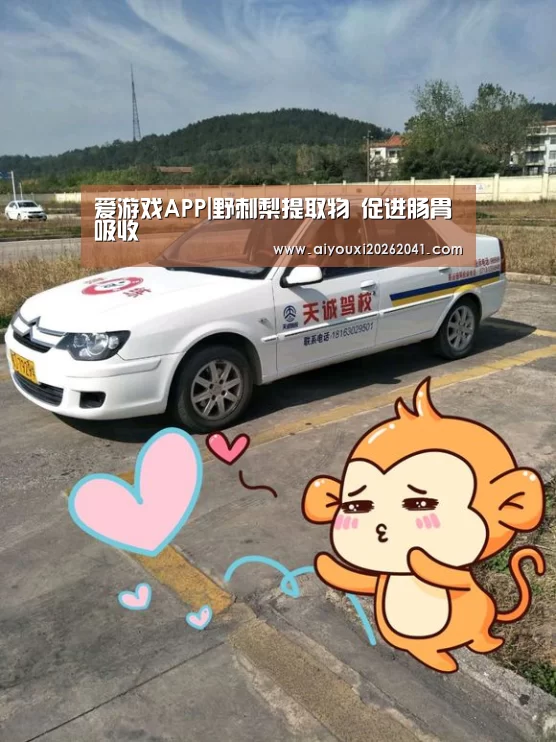 爱游戏百家乐