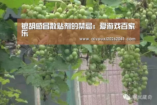 银胡感冒散贴剂的禁忌:爱游戏百家乐(图1) 爱游戏电竞