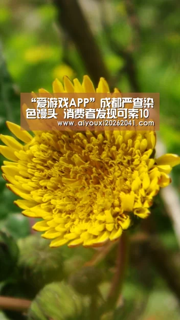 “爱游戏APP”成都严查染色馒头 消费者发现可索10倍赔偿(图3) 爱游戏百家乐